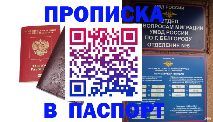 прописка поиск в Норильске